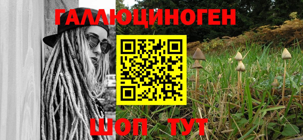 Псилоцибиновые грибы прущие грибы Горячий Ключ