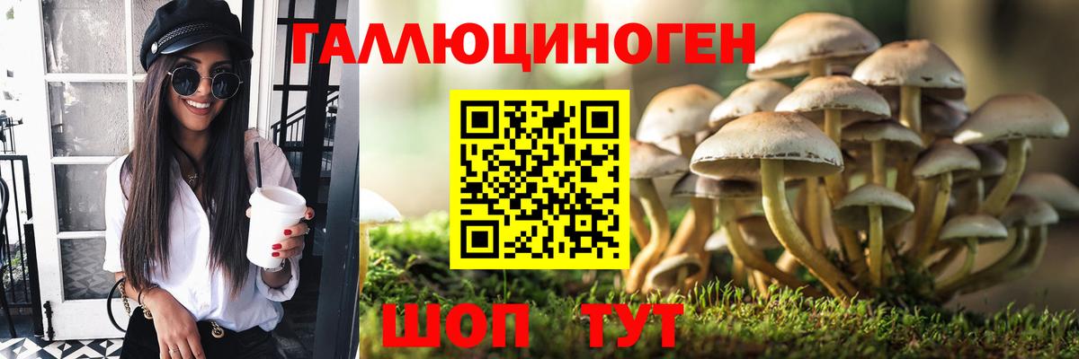 Псилоцибиновые грибы прущие грибы  Вход с VPN  цены   Горячий Ключ 